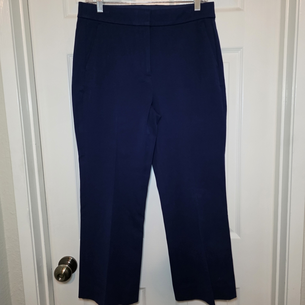 J.Crew Factory Remy Blue Pants Sz 8